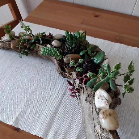 Divine House Of Graca بيت ضيافة Lisboa